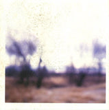 So Much Staying Alive And Lovelessness