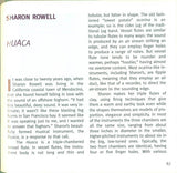 Orbitones Spoon Harps & Bellowphones (Experimental Musical Instruments)