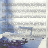 Das Tagebuch Der Hanna Anikin