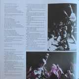 Live/1975-85