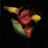Delìrium Còrdia