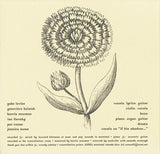 The Principles Of Science