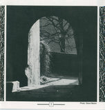 ReR Quarterly Vol 1 - Selections