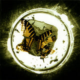 The Butterfly Effect