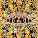 Shadow Run