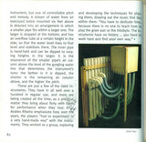 Orbitones Spoon Harps & Bellowphones (Experimental Musical Instruments)