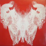The Buffalo Skinners