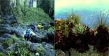 The Lost World