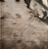 The Marshall Mathers LP