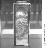 Menagerie / Beach Singularity / Vocalise