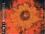 Irreligious