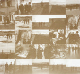 Mosquito / See Through