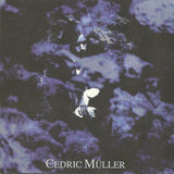 Das Tagebuch Der Hanna Anikin