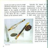 Orbitones Spoon Harps & Bellowphones (Experimental Musical Instruments)