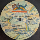 Party / Shake It