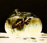 The Butterfly Effect
