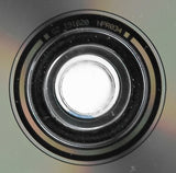 Das Tagebuch Der Hanna Anikin