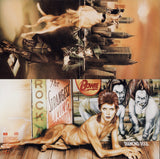 Diamond Dogs