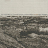 Asmus Tietchens. Vidna Obmana.