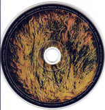 Для Тех, Кто Прогулялся Бы С Богами