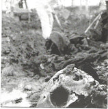 A Beheaded Winner And Fragrances Of Happiness