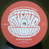 Bosporus Bridges - A Wide Selection Of Turkish Jazz And Funk 1968-1978