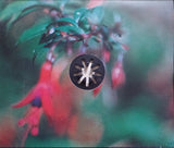 Free-D (Original Soundtrack)