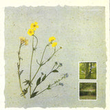 From Gardens Where We Feel Secure / Sanctus / Melt The Snow