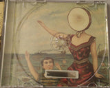 In The Aeroplane Over The Sea