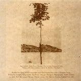 Music For Egon Schiele