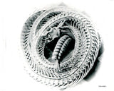 The Great Southern Trendkill