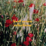 Best Seven Selections