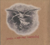 This Is Our Punk-Rock, Thee Rusted Satellites Gather+Sing,