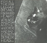 This Is Our Punk-Rock, Thee Rusted Satellites Gather+Sing,