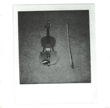 The Blossom Filled Streets