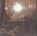 Shaded By The Leaves