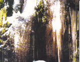 Underneath The Spirit Of Tranquility