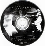 Undercurrents (In Dark Water)