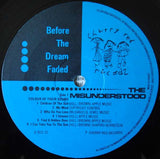 Before The Dream Faded