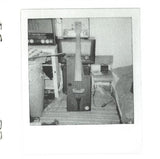 The Blossom Filled Streets