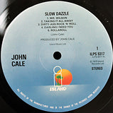 Slow Dazzle