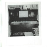 The Blossom Filled Streets