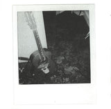 The Blossom Filled Streets