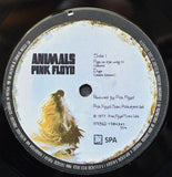 Animals