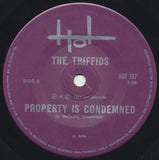 Beautiful Waste / Property Is Condemned