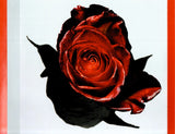 Un Ramo De Rosas