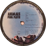 Animals