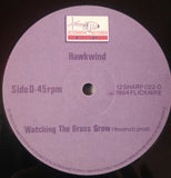 Stonehenge / This Is Hawkwind, Do Not Panic