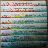 Meu Canto Minhas Raizes