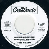 Mumble Bumble / The Streak To The Sun